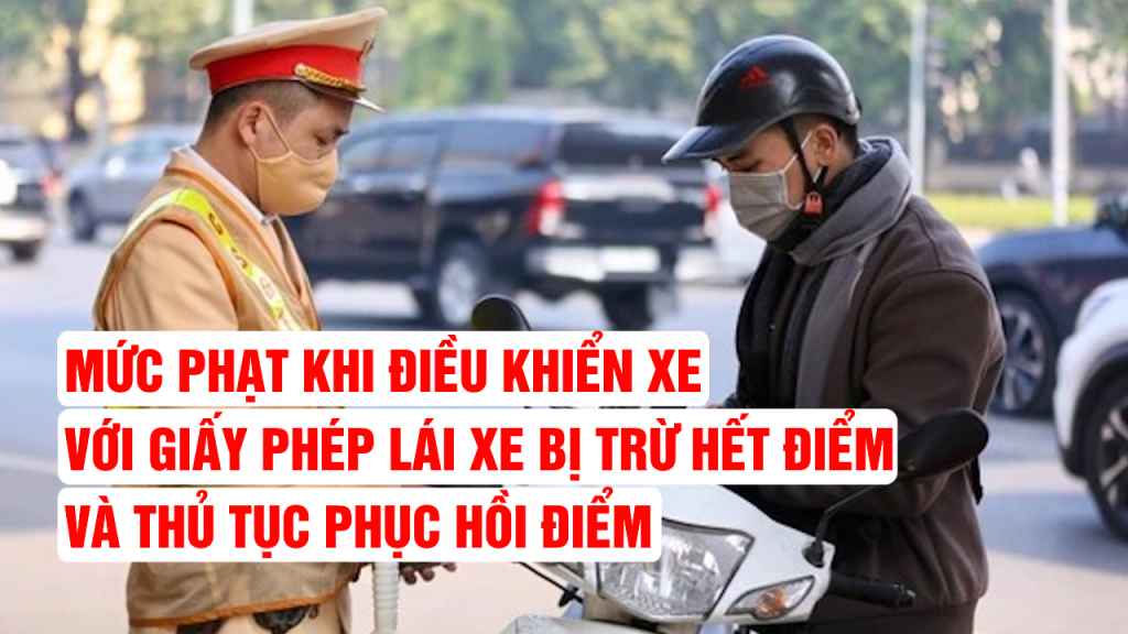 Giấy phép lái xe bị trừ hết điểm
