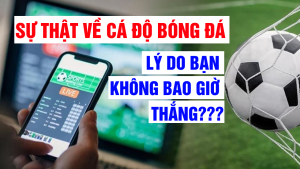 Lý do thua cá độ bóng đá 