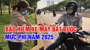 Bảo Hiểm Xe Máy Bắt Buộc 2025: Quy Định Mới Và Mức Phí Cập Nhật