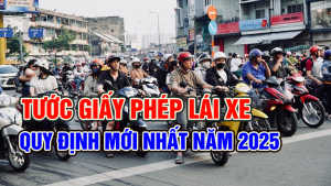 Lỗi Tước Giấy Phép Lái Xe Mới Nhất 2025: Những Vi Phạm Cần Tránh