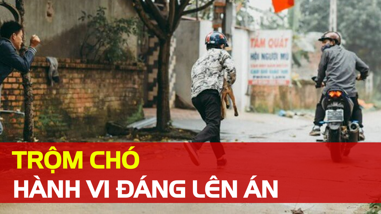 Trộm Chó
