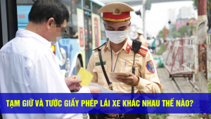 Tạm giữ và tước giấy phép lái xe