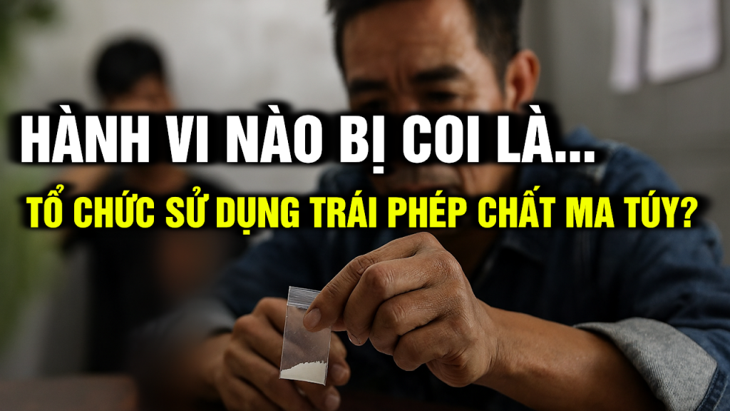 Tổ Chức Sử Dụng Trái Phép Chất Ma Túy