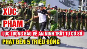 Lực Lượng Bảo Vệ An Ninh Trật Tự Cơ Sở