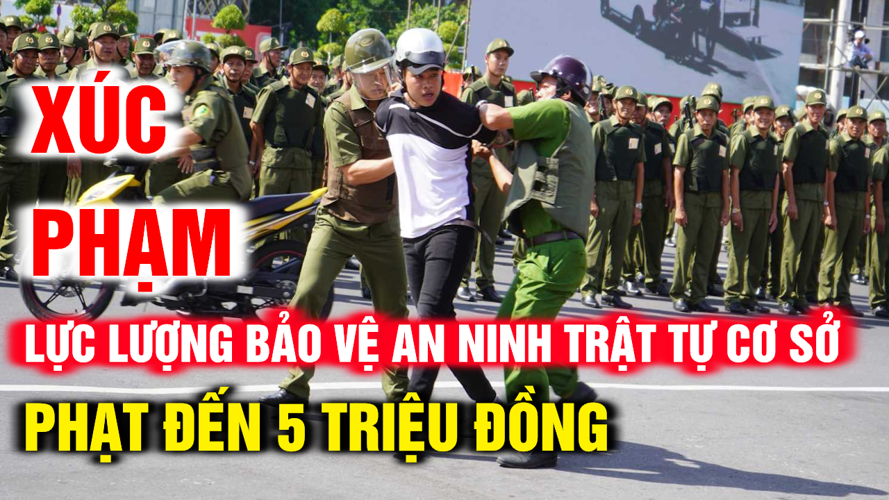 Lực Lượng Bảo Vệ An Ninh Trật Tự Cơ Sở