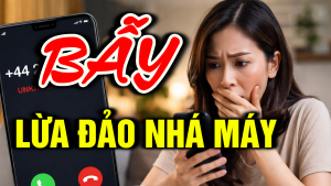Lừa Đảo Nhá Máy
