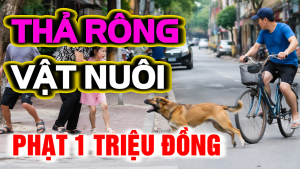 Thả Rông Vật Nuôi